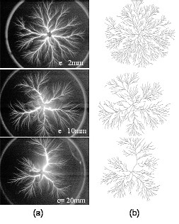 Fig.1